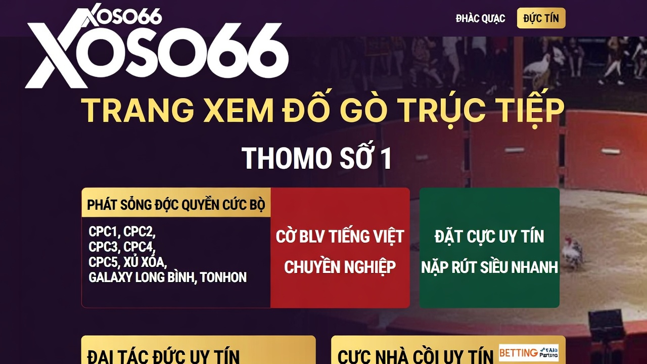 Chuyên Gia Dự Thưởng