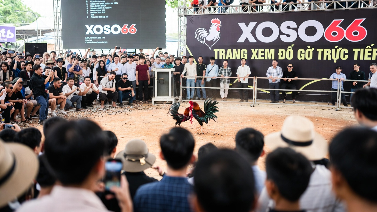 Liên Hệ Với XOSO66