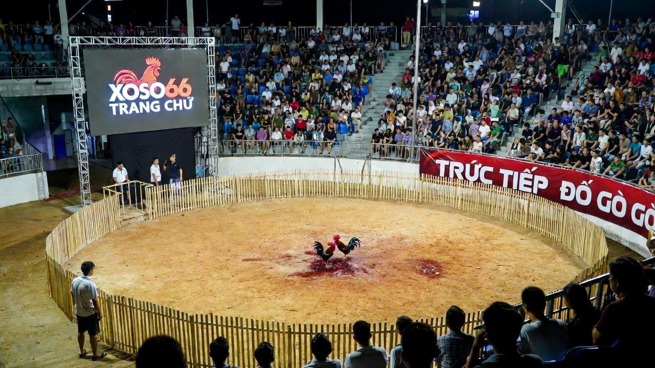 Thành Viên Đội Ngũ